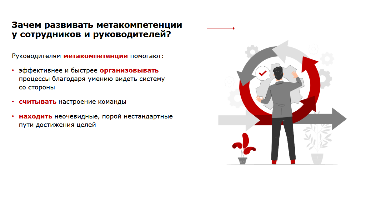 Развитие метакомпетенций руководителя как точка роста бизнеса
