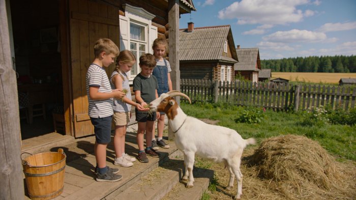 В МТПП обсудили востребованность консалтинговой поддержки в сфере эко- и сельского туризма