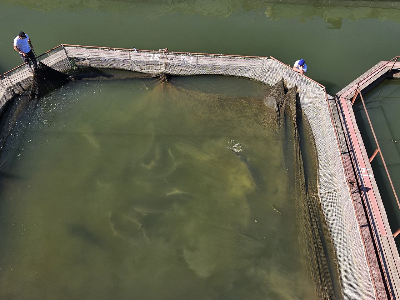 МТПП организовала и провела промышленный тур в Астраханскую область