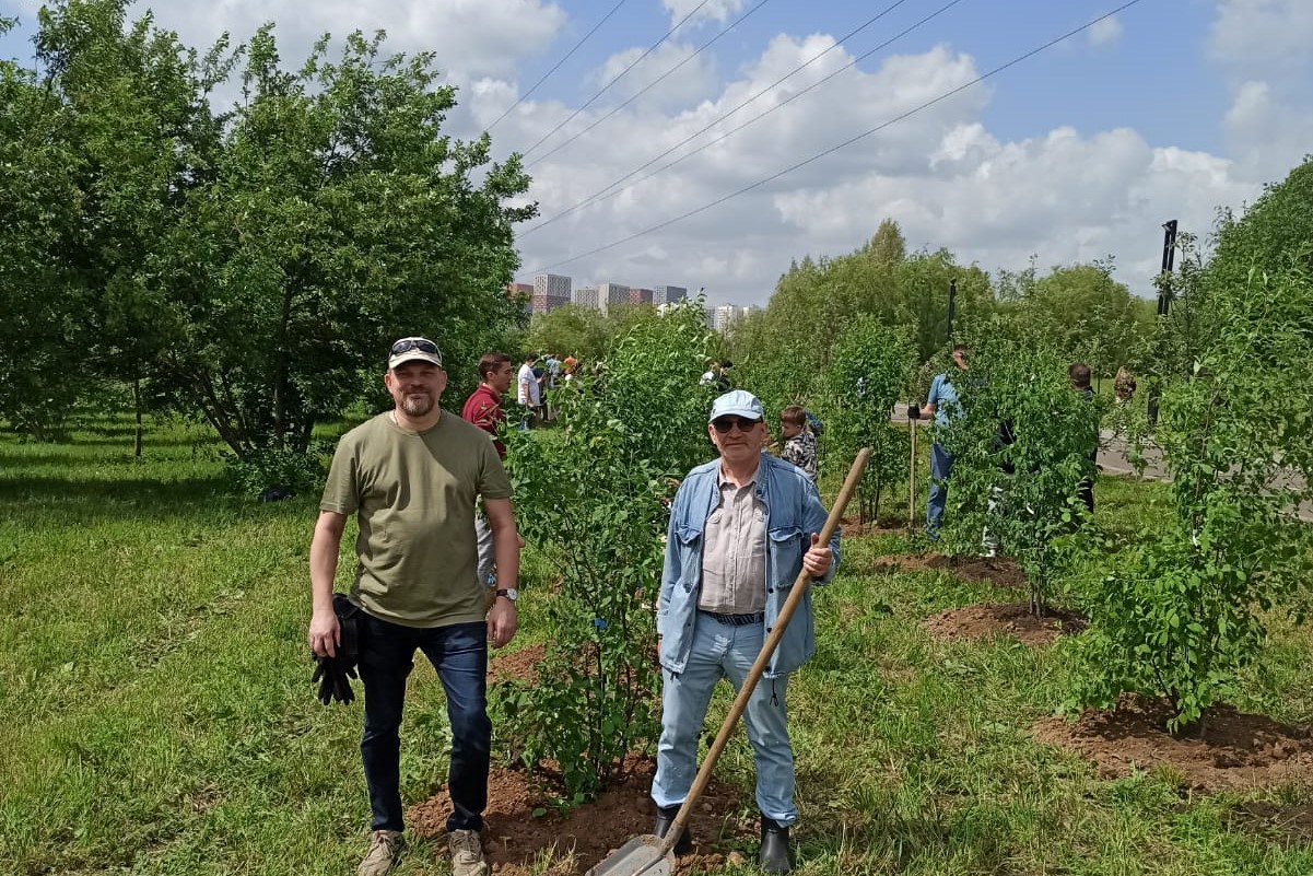 Второй яблоневый сезон на Аллее предпринимательства Москвы