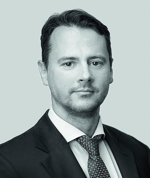 Мищенко Владислав Вячеславович