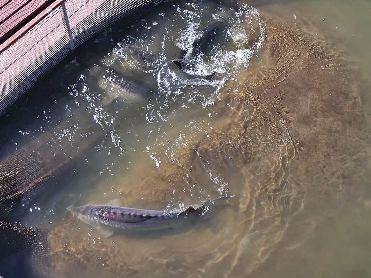 МТПП организовала и провела промышленный тур в Астраханскую область