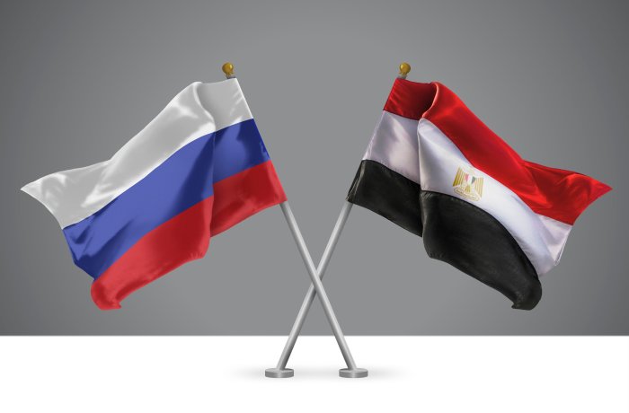 МТПП провела вебинар, посвященный особенностям работы с партнерами из Египта в сфере высоких технологий