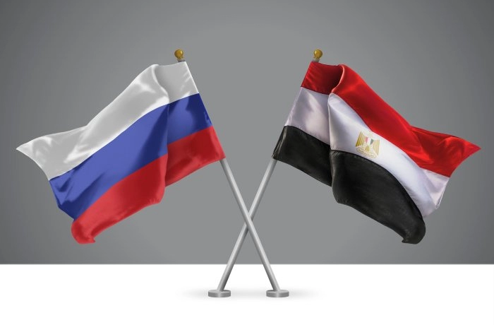 МТПП провела вебинар, посвященный особенностям работы с партнерами из Египта в сфере высоких технологий