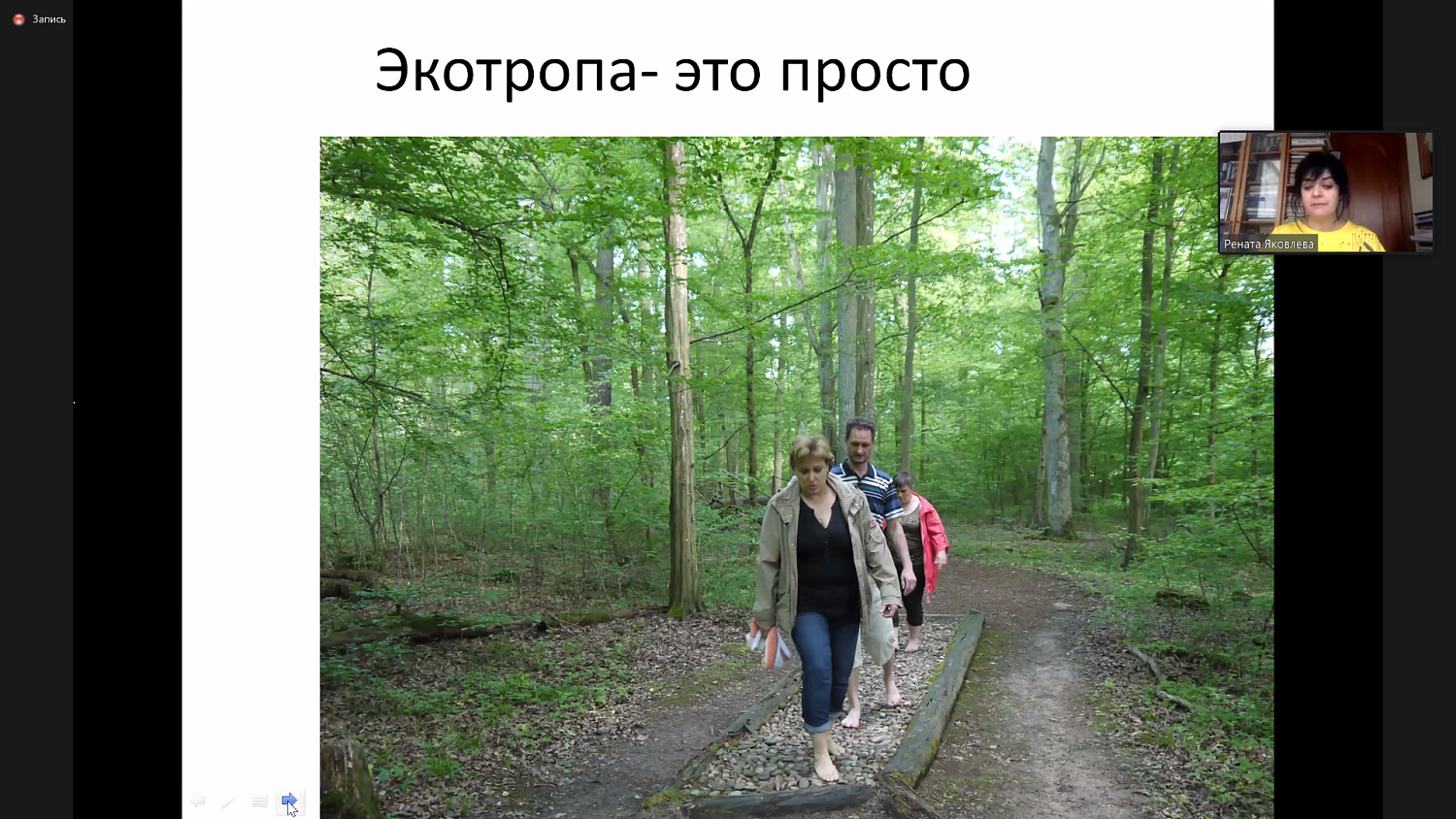 Парки уединения и экотропы – современные тренды зеленых городов 