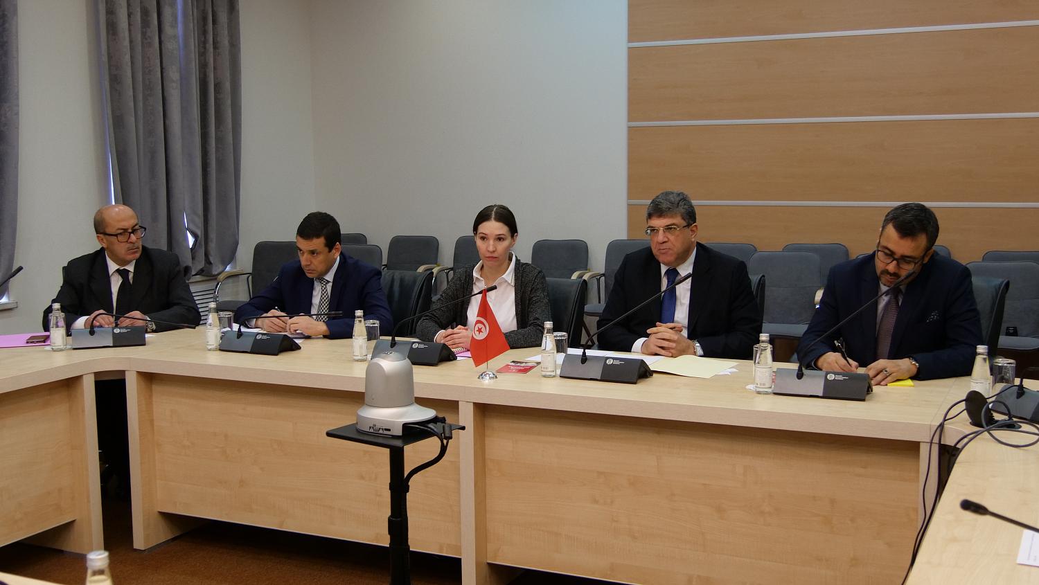 Тунис готов стать для России «воротами в Центральную Африку» 