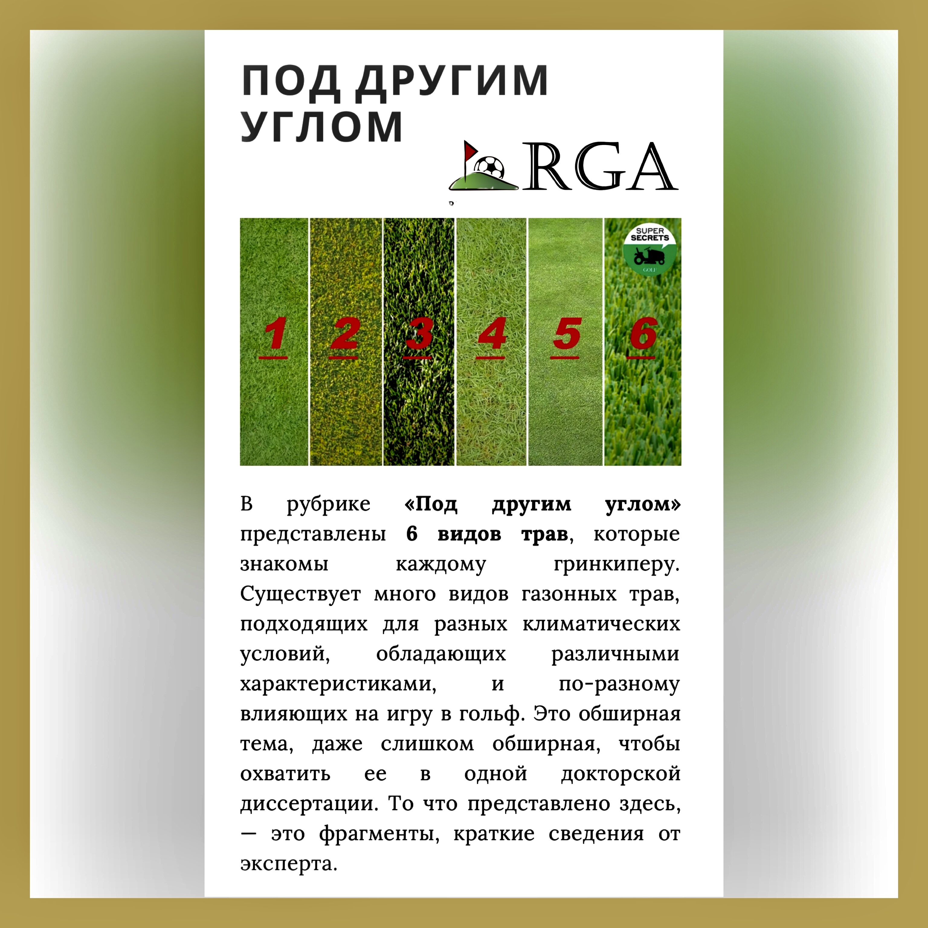 М.А. Зиновьева дала старт разработке проекта профстандарта «Специалист по обслуживанию  полей для гольфа (гринкипер)»