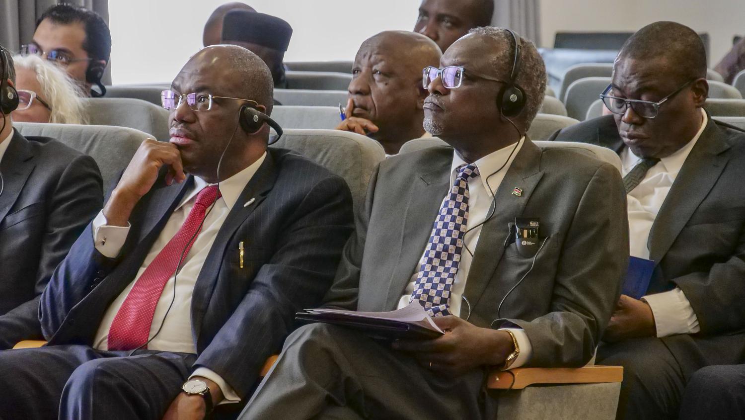 Самые надёжные контакты – это прямые контакты. В МТПП обсудили сотрудничество со странами Африки