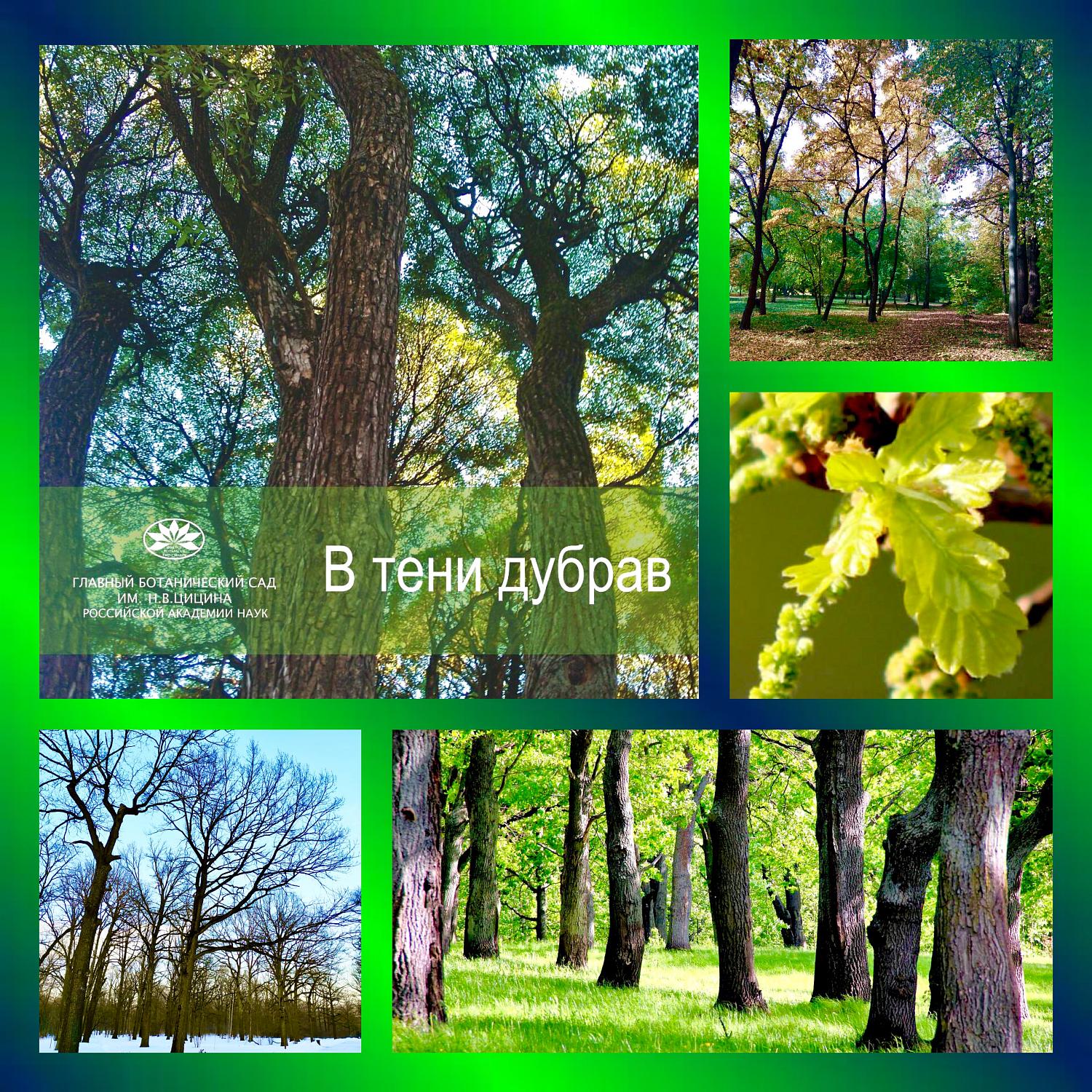 Комитет МТПП по проблемам качества и развития деловых услуг разработал Концепцию информатизации проекта «Аллея московских предпринимателей»