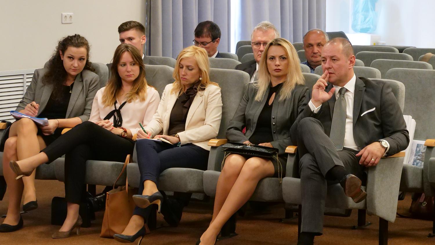 Московским предпринимателям представили экономический потенциал округа Тимиш (Румыния)
