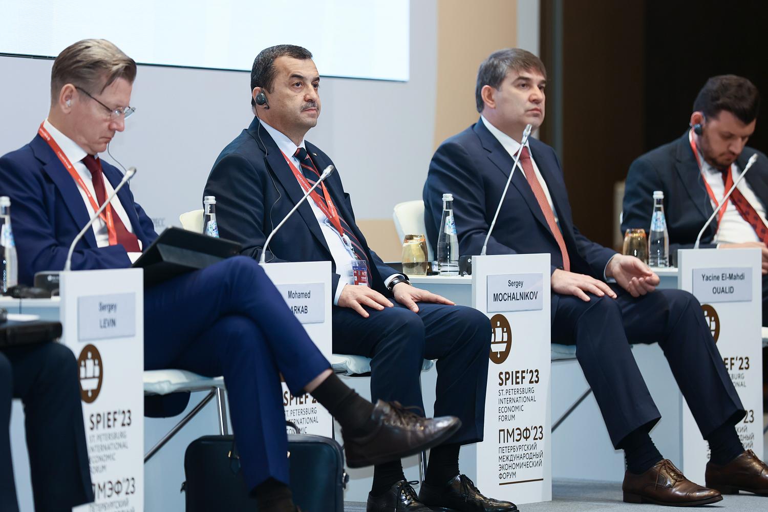 Владимир Платонов принял участие в работе панельной сессии ПМЭФ «Россия-Алжир»