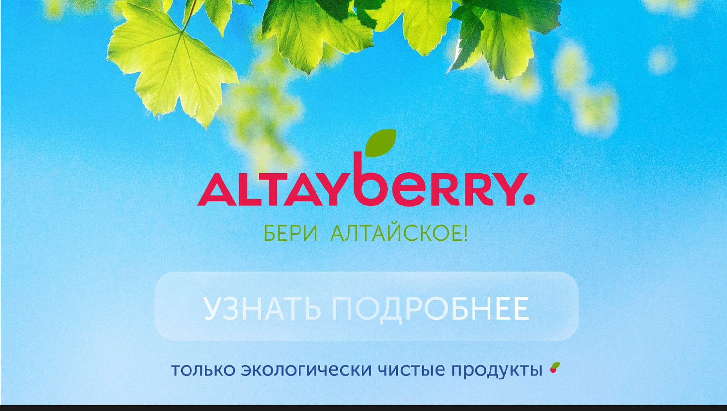 Состоялась презентация компаний Алтайского края