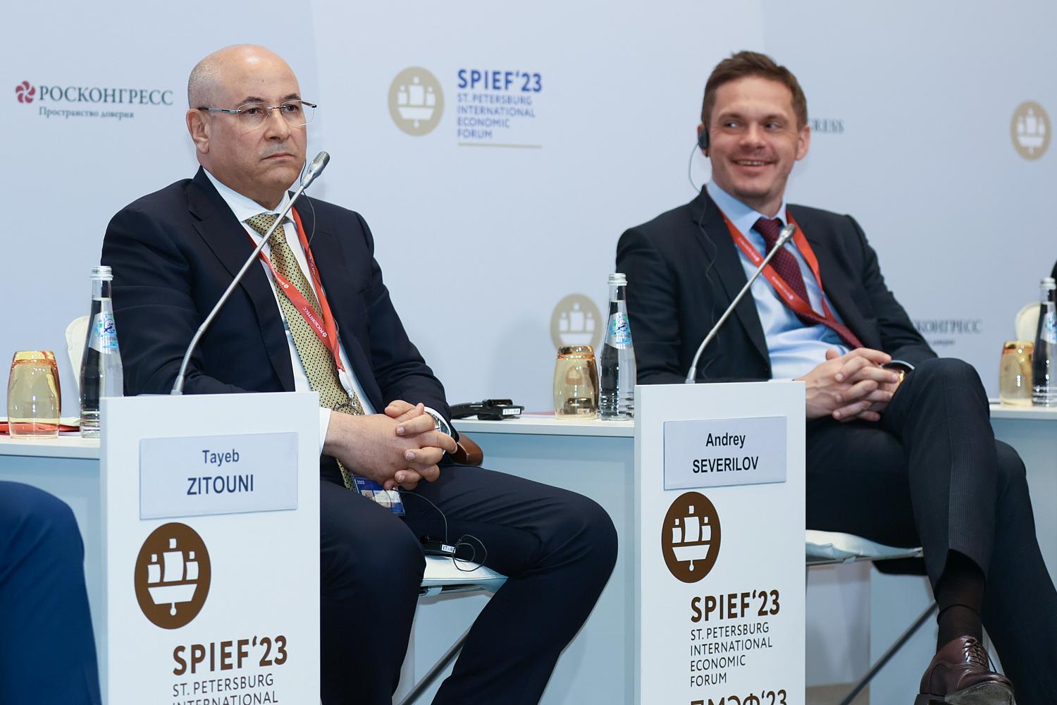 Владимир Платонов принял участие в работе панельной сессии ПМЭФ «Россия-Алжир»