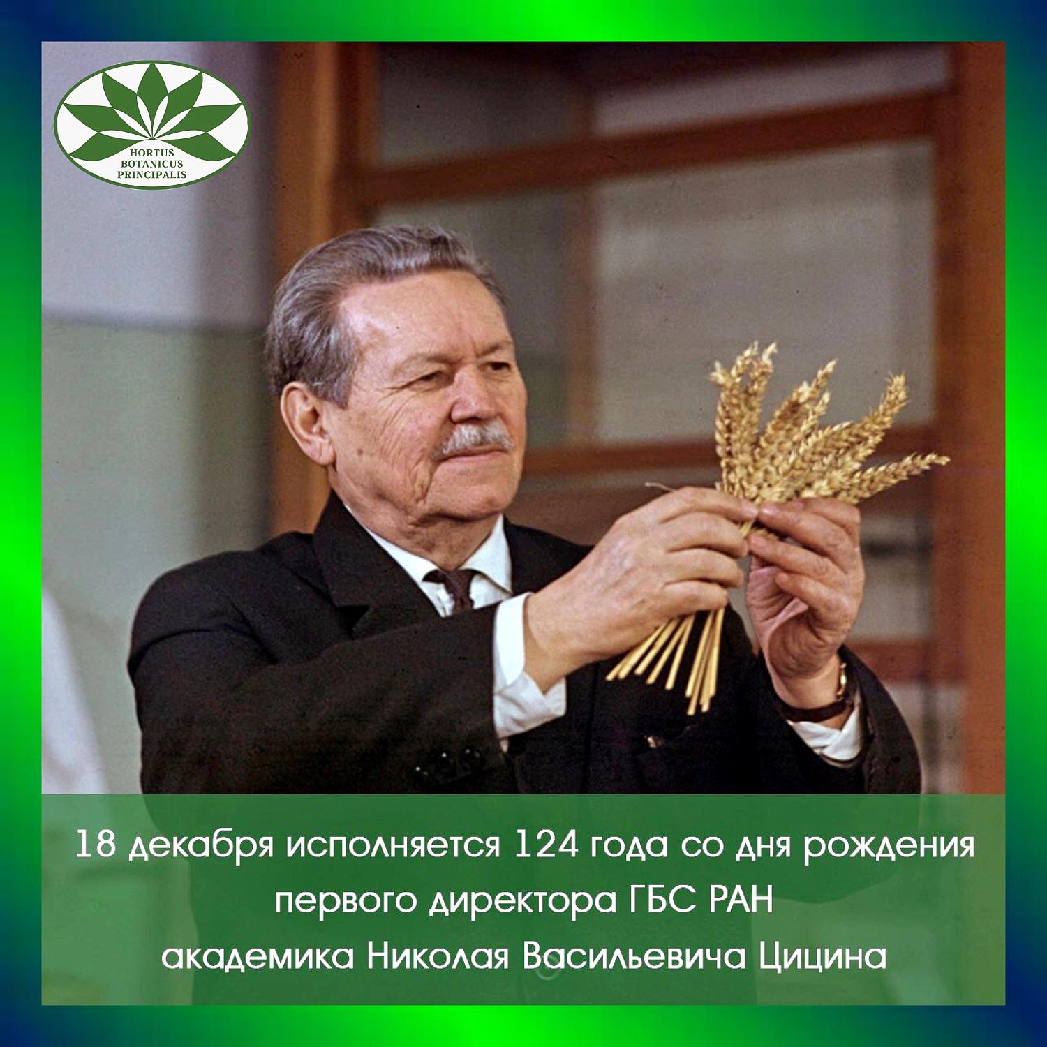 Комитет МТПП по проблемам качества и развития деловых услуг разработал Концепцию информатизации проекта «Аллея московских предпринимателей»