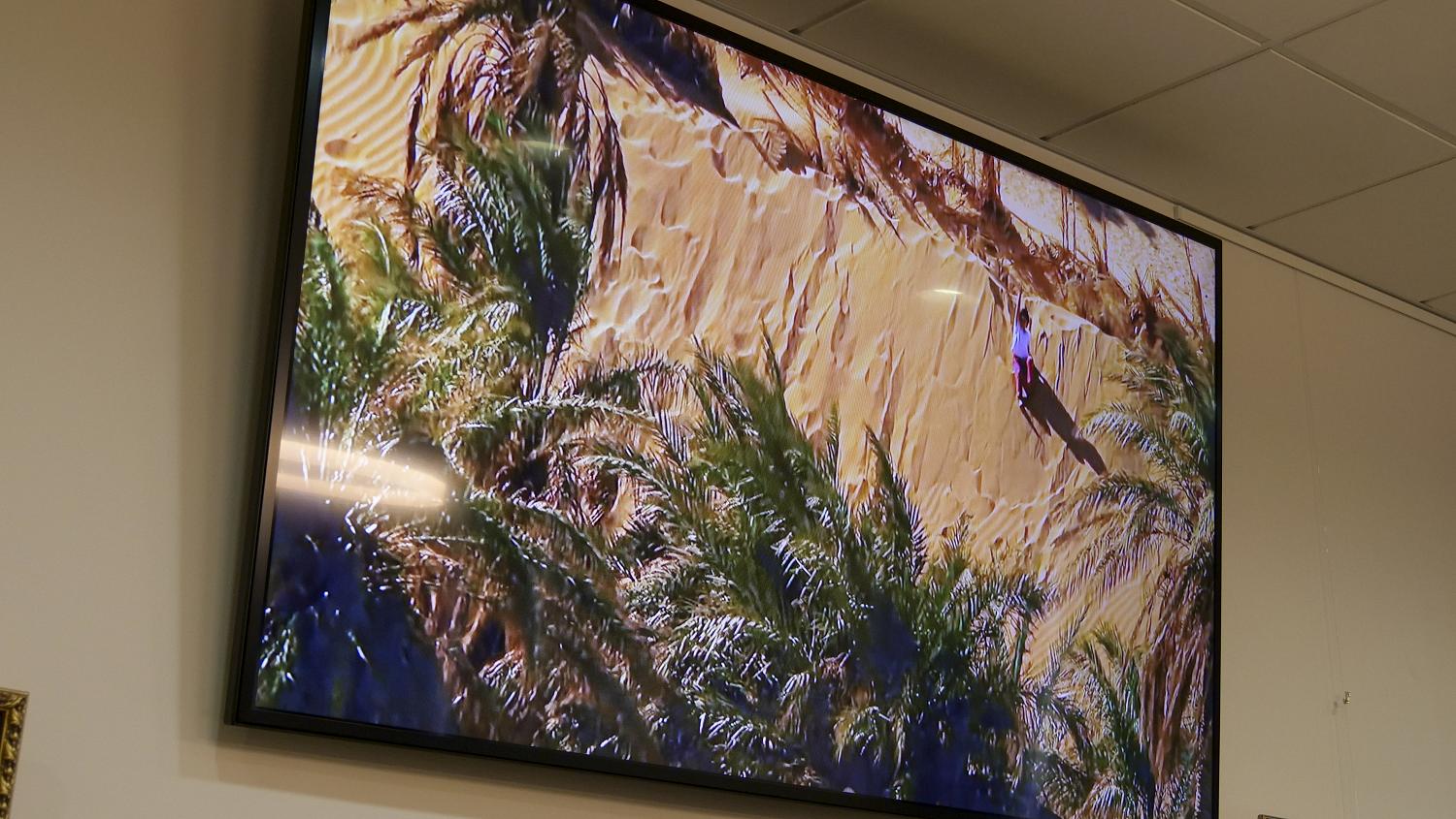 МТПП заинтересована в деловом сотрудничестве с Алжиром