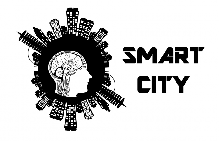Smart City transformation into a city of the future: possibilities of it companies